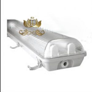 ĐÈN CHỐNG THẤM CDN CYZ240-T8/F