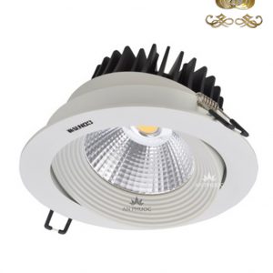 Đèn Celling Light CET2324/R DW 9w