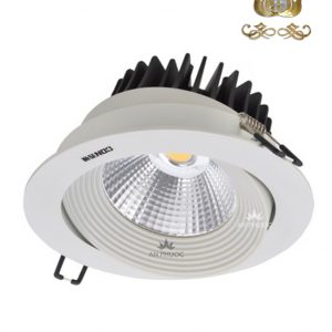 Đèn Celling Light CET2322/R DW