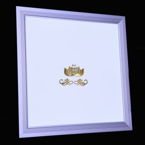 Panel Âm Trần BL005/12W