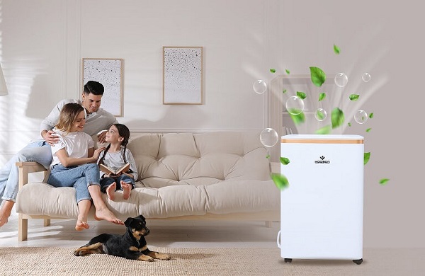 Máy hút ẩm có nhiều loại kích thước và công suất rất đa dạng