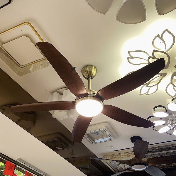 Mỗi loại quạt trần cao cấp đều sở hữu những ưu điểm riêng, phù hợp với từng không gian và phong cách kiến trúc