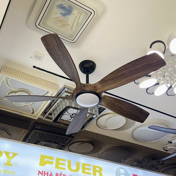 Việc lựa chọn quạt trần cao cấp không chỉ dựa vào mẫu mã bắt mắt mà còn cần cân nhắc kỹ lưỡng về hiệu năng, độ bền và mức độ phù hợp với không gian sử dụng